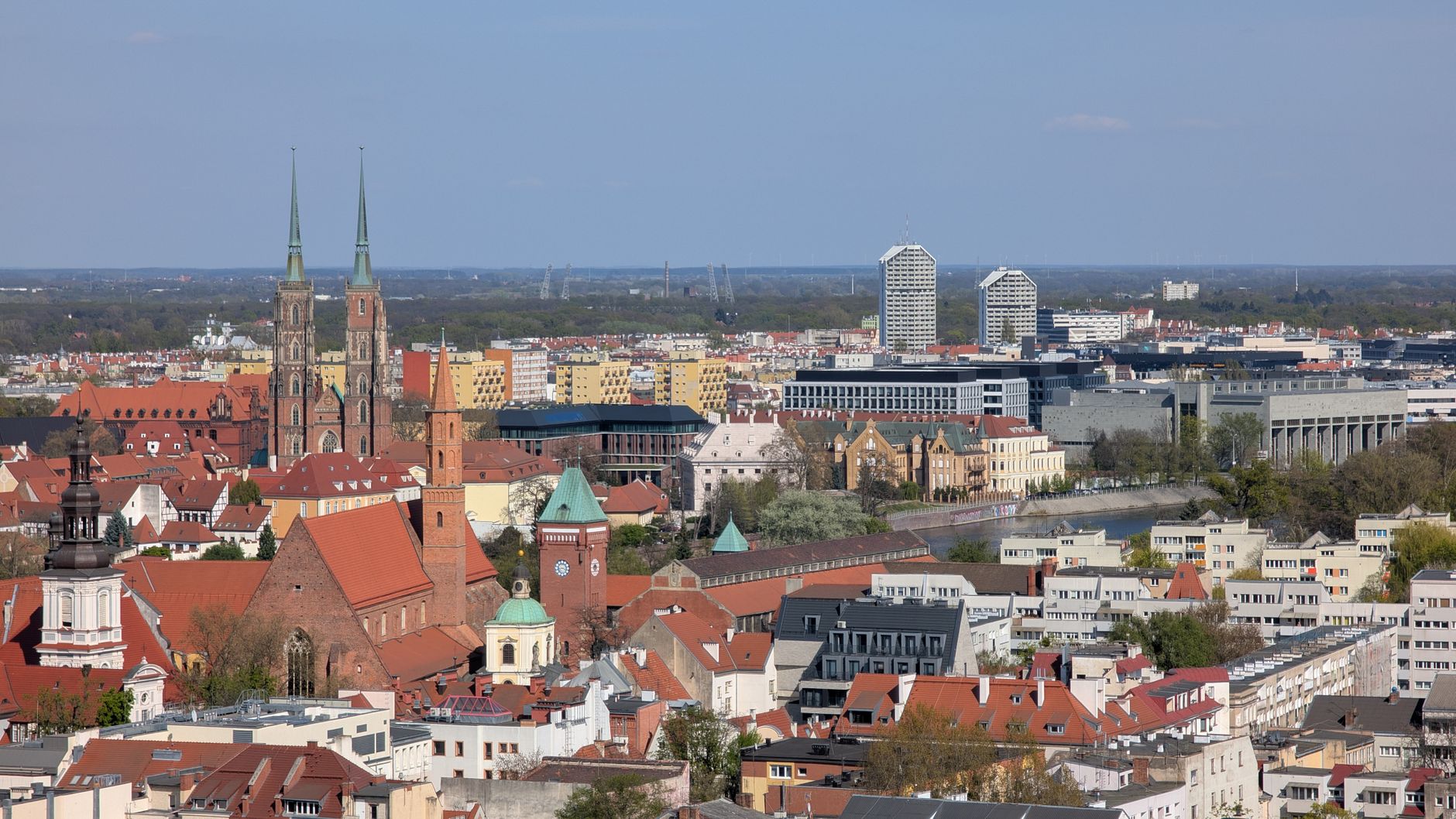 Nowy artykul